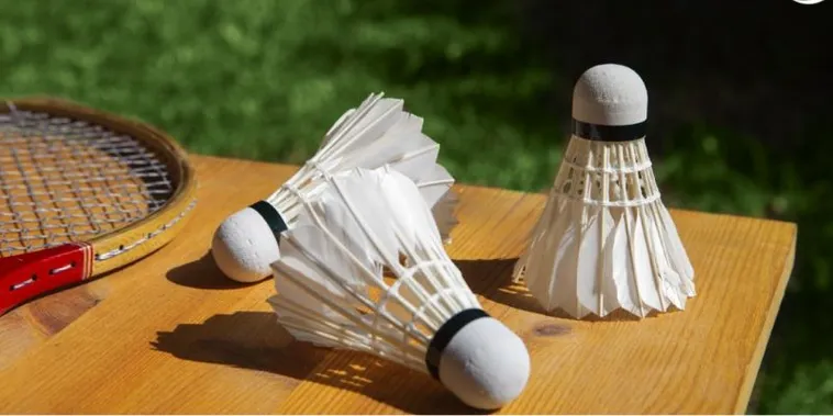 Thắp Sáng Đam Mê Thể Thao: Bí Quyết Chơi Cá Cược Cầu Lông Tại OPPA888 2 Thắp Sáng Đam Mê Thể Thao: Bí Quyết Chơi Cá Cược Cầu Lông Tại OPPA888